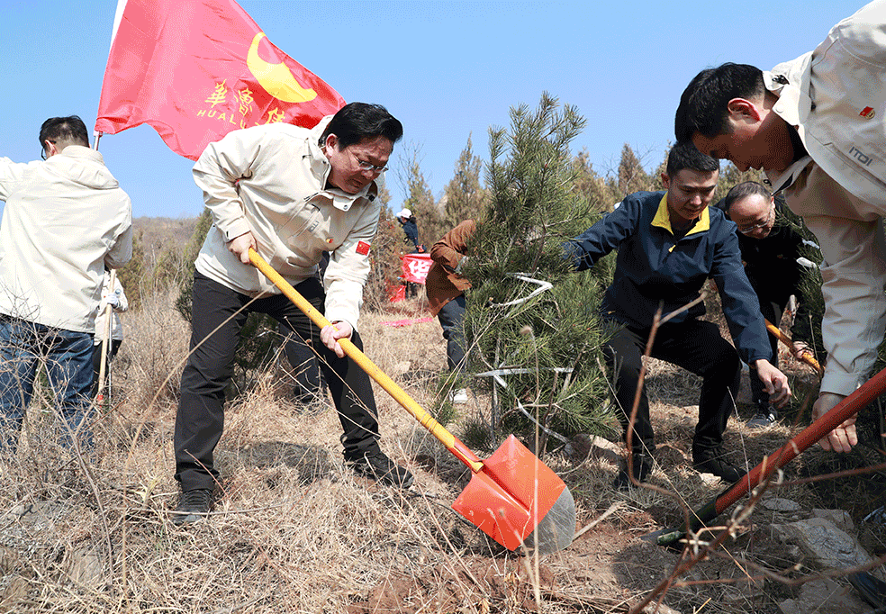 植樹添新綠 齊心健步行 華魯集團組織開展2024年義務植樹和 春季健步走活動-2 植樹添新綠 齊心健步行 華魯集團組織開展2024年義務植樹和 春季健步走活動-2.gif